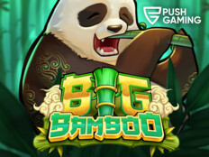 Betbigdollar casino41